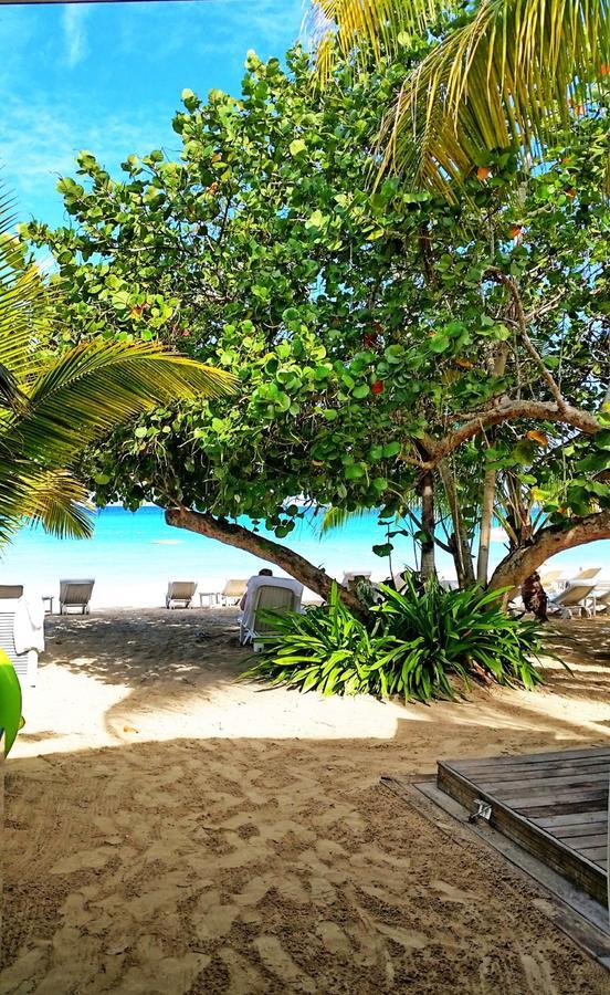 ホテルIdle Awhile Beach ネグリル エクステリア 写真